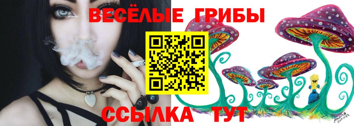 Псилоцибиновые грибы Magic Shrooms  Вход с VPN  Псилоцибиновые грибы MAGIC MUSHROOMS  Кизляр 